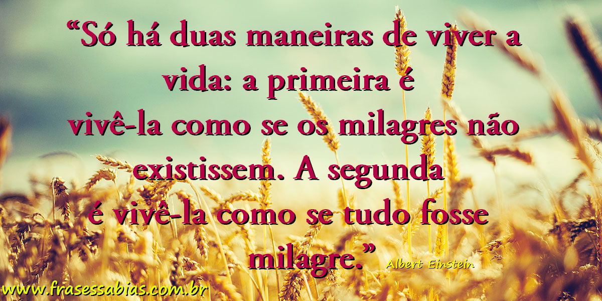 Livro Livre - ✏ Vem com tudo, segunda-feira! #viver #marioquintana regram  @itktreinamentos A vida é muito curta para ser feita de rascunho. #frases  #itktreinamentos #institutotadashikadomoto #tadashikadomoto #vida #rascunho